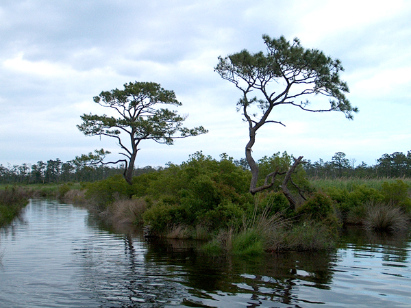 Mackay Island National Wildlife Refuge